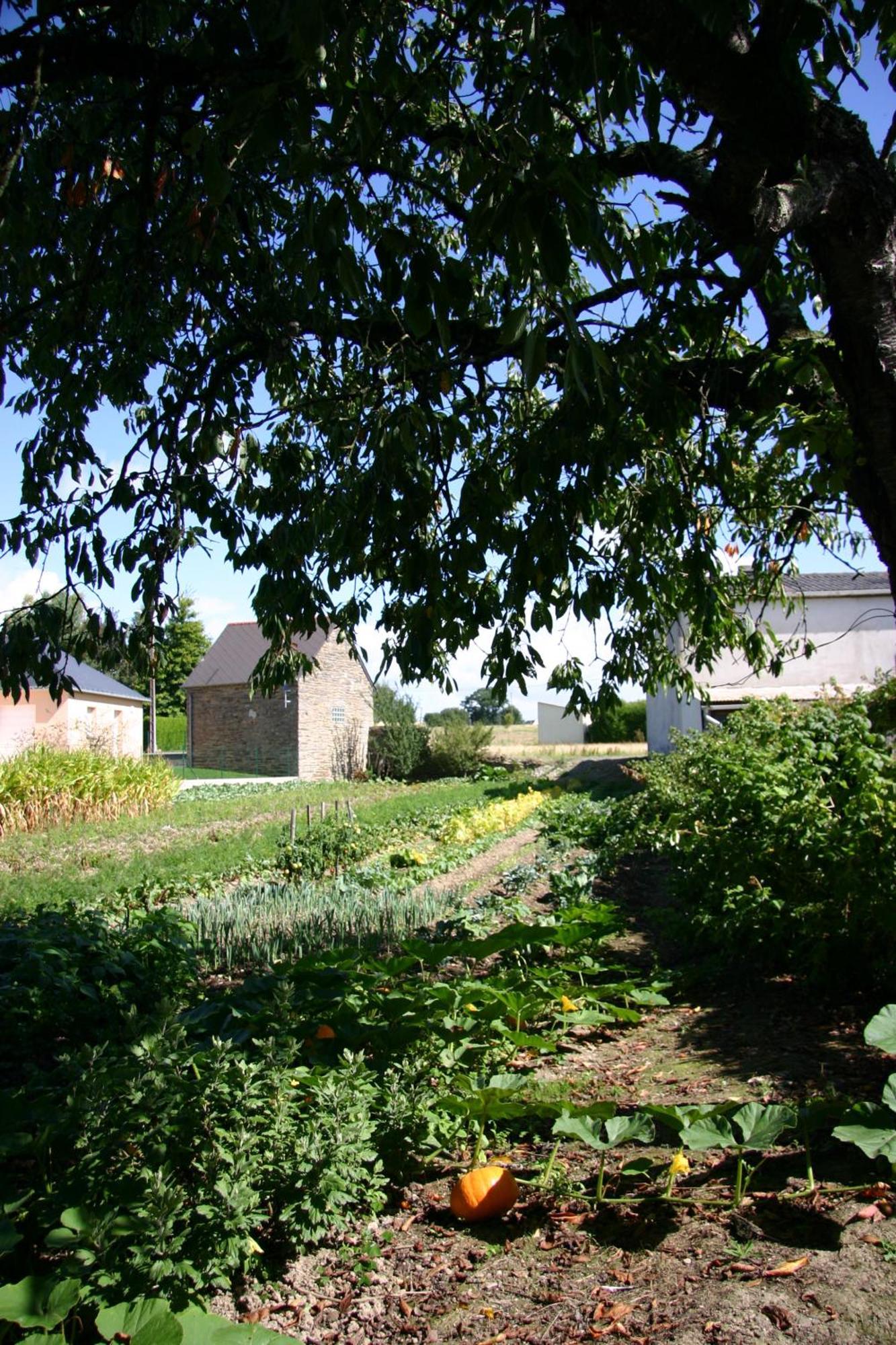Studio du Chalet de Caharet Pipriac Extérieur photo